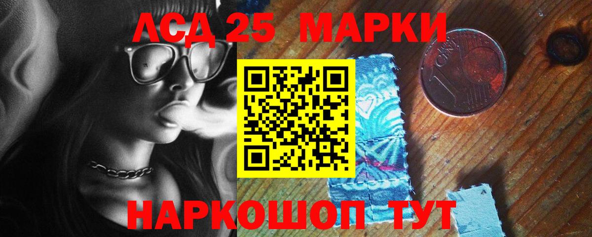 Галлюциногенные грибы Звенигород