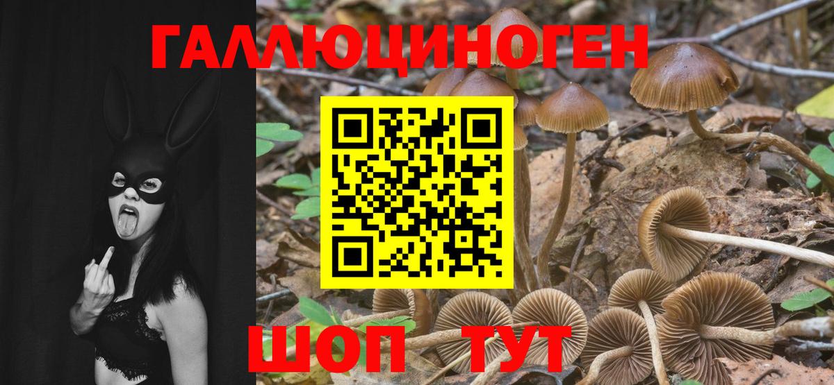 Звенигород  Псилоцибиновые грибы мухоморы  Вход с VPN  Галлюциногенные грибы прущие грибы 